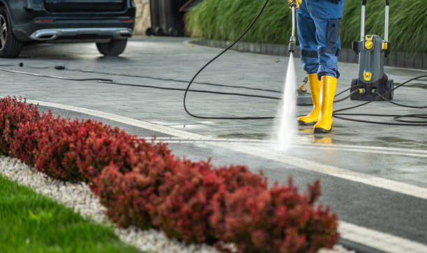 Best Driveway Pressure Washing  in Pearl River, LA